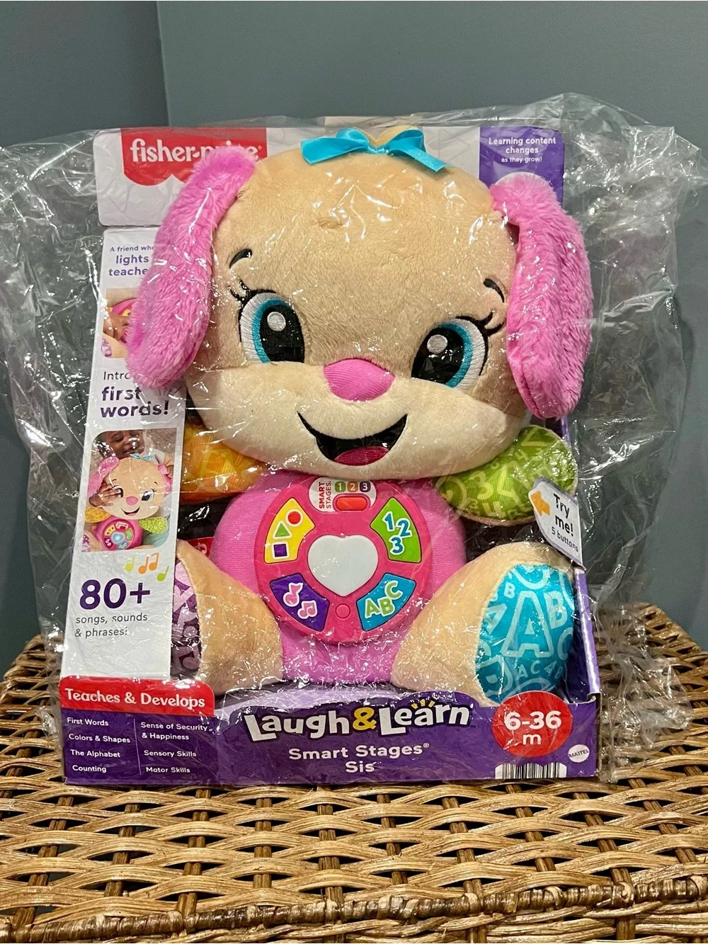 NEW IN BOX Fisher-Price Laugh and Learn Smart Stages Sis